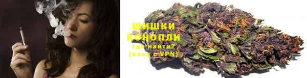 амф Володарск