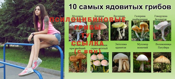 кристаллы Волосово