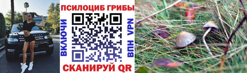 Псилоцибиновые грибы GOLDEN TEACHER  где продают наркотики  Черепаново 